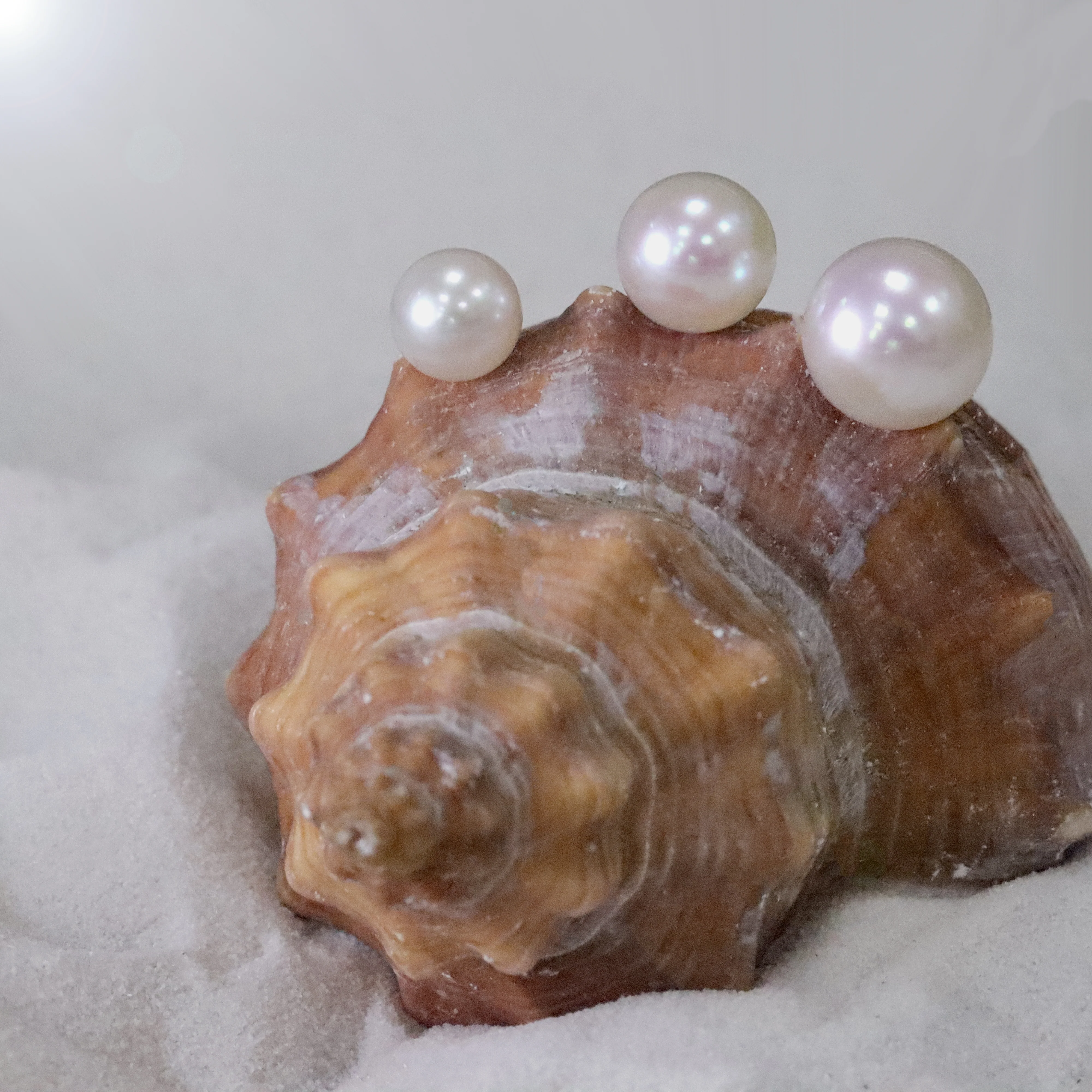Cultured Pearl 18ct Yellow Gold Stud Earrings 8mm - Image 2