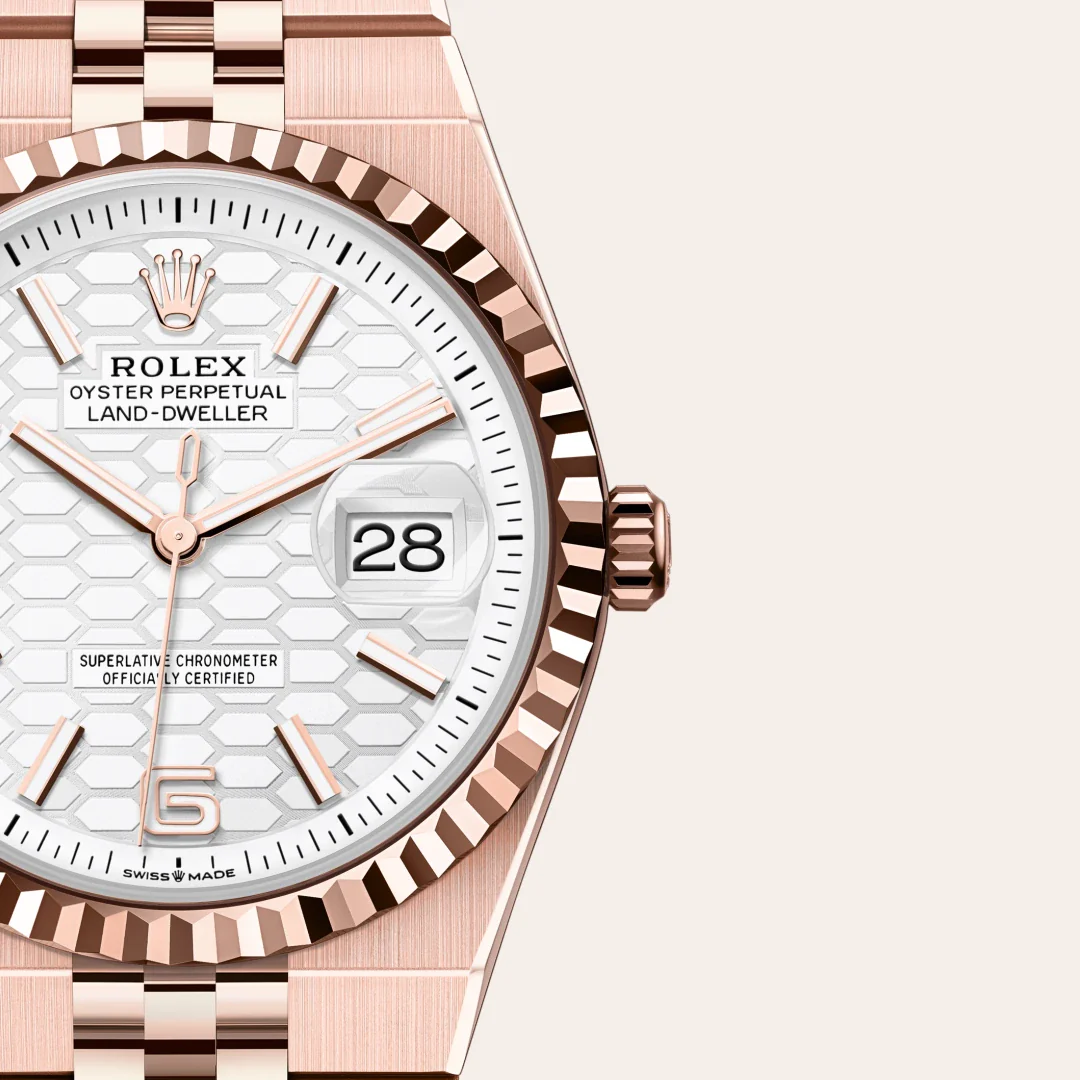 Land-Dweller 36 - Image 9