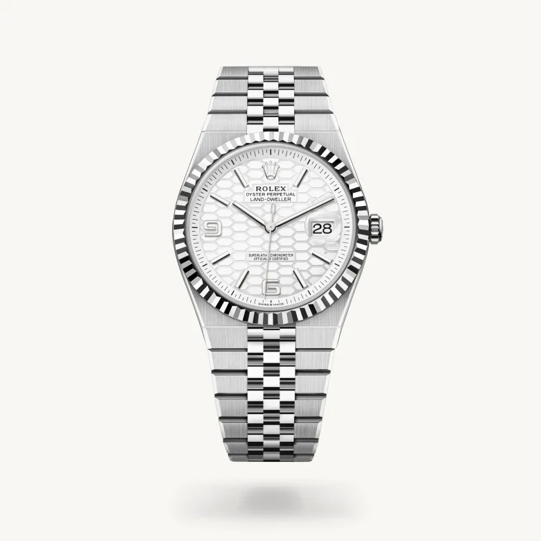 Land-Dweller 40 - Image 2