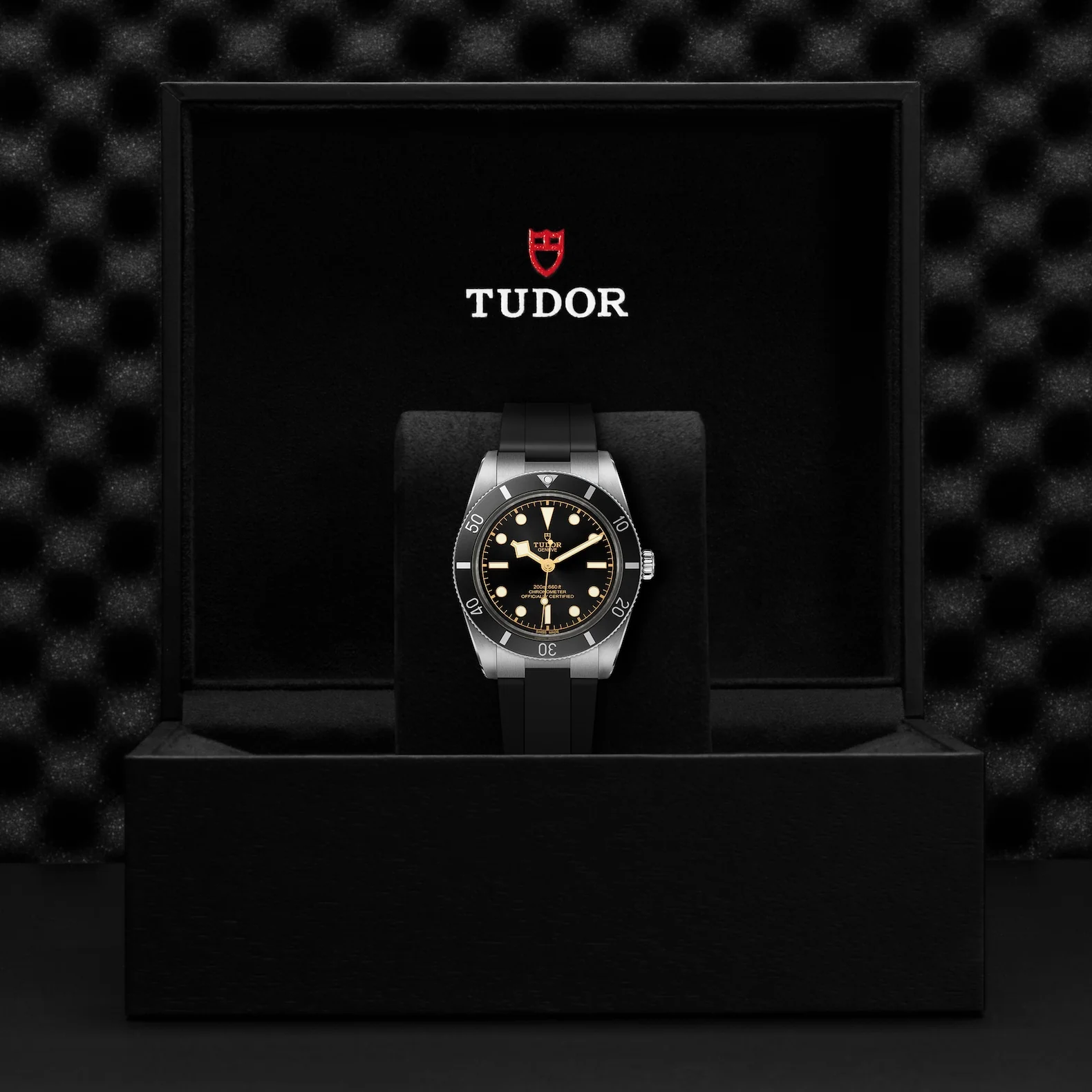 TUDOR Black Bay 54 37mm Stainless Steel Chronometer Automatic Watch M79000N-0002 - Image 3