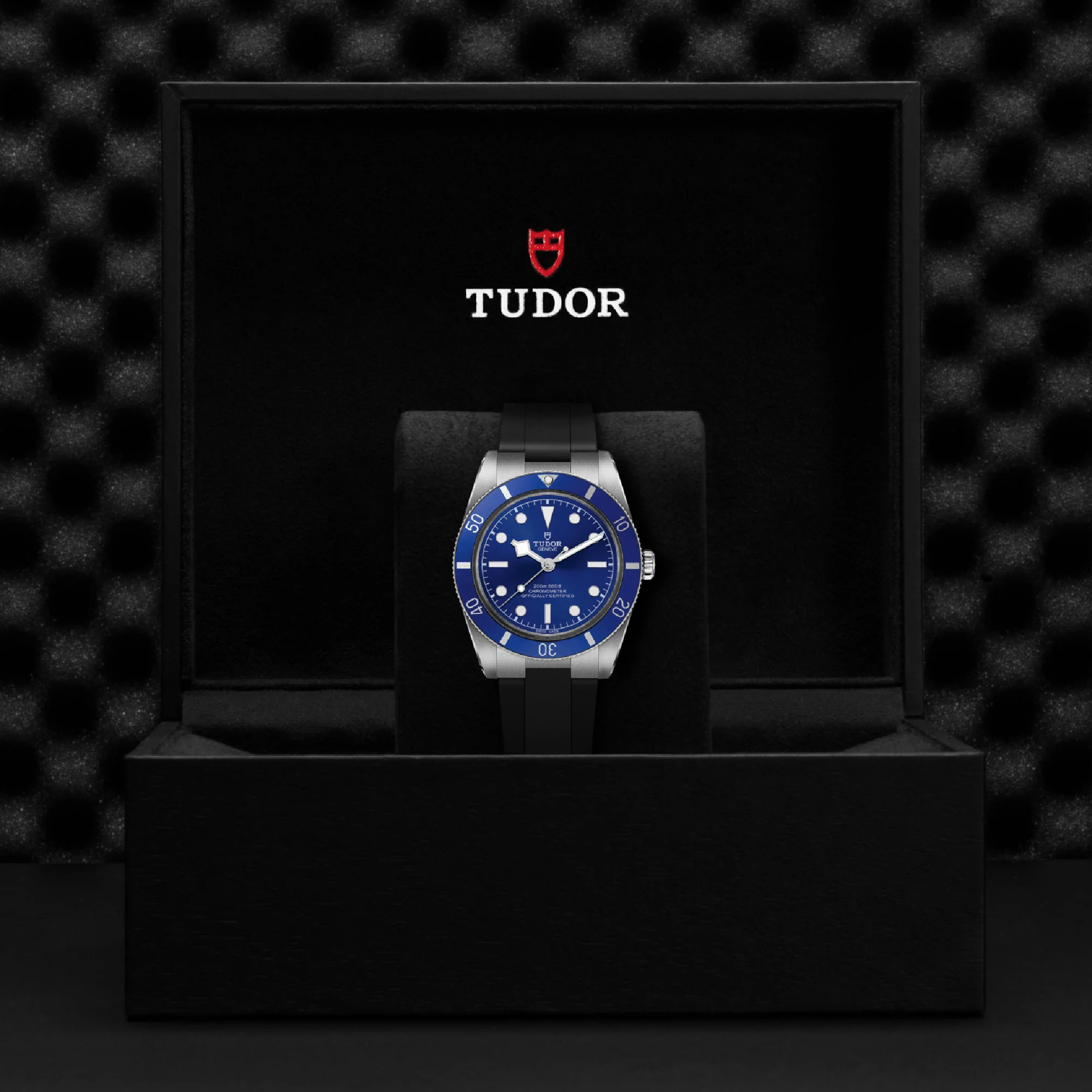 TUDOR Black Bay 54 37mm Stainless Steel Chronometer Automatic Watch M79000B-0002 - Image 5
