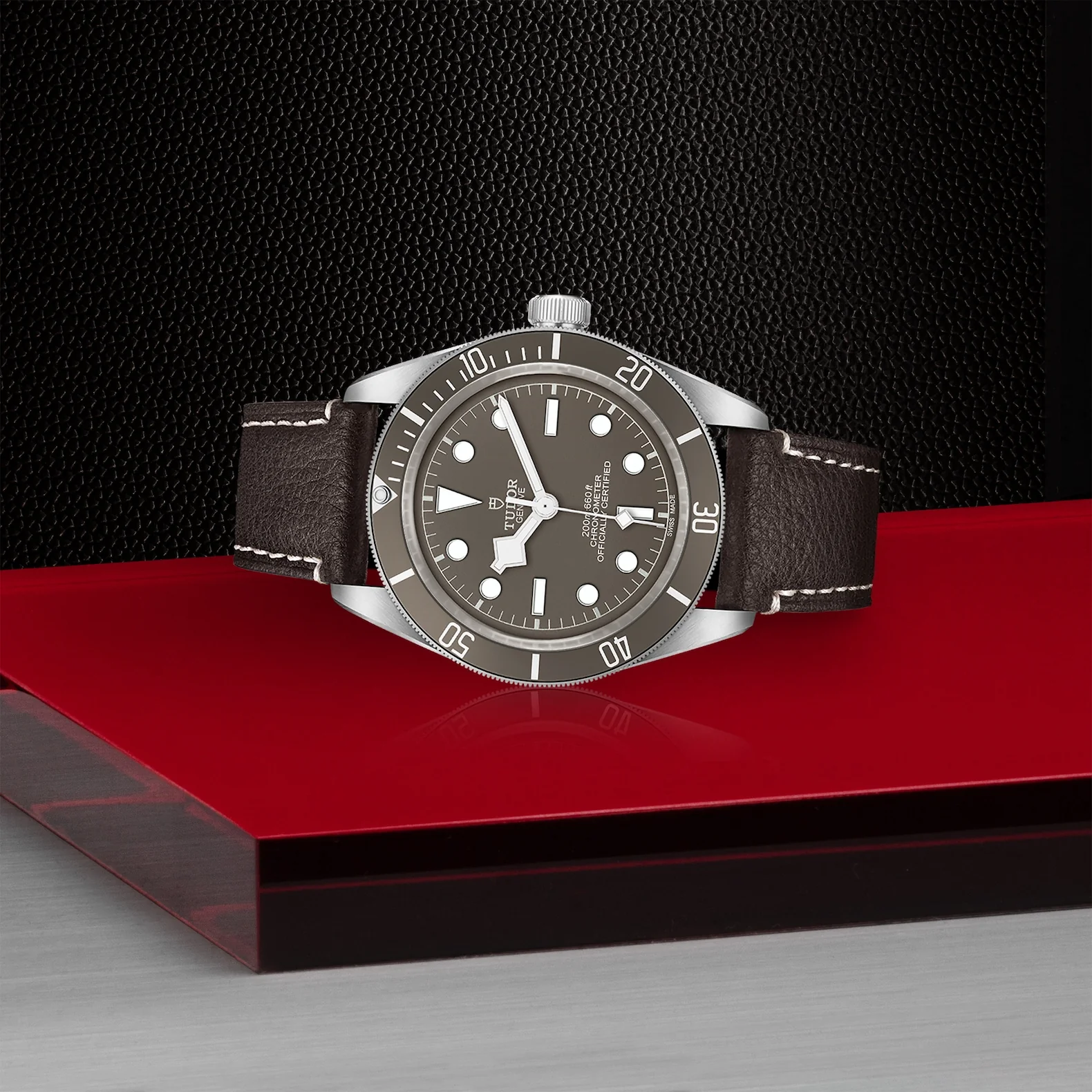 TUDOR Black Bay 58 39mm Chronometer 925 Silver Automatic Watch M79010SG-0001 - Image 3