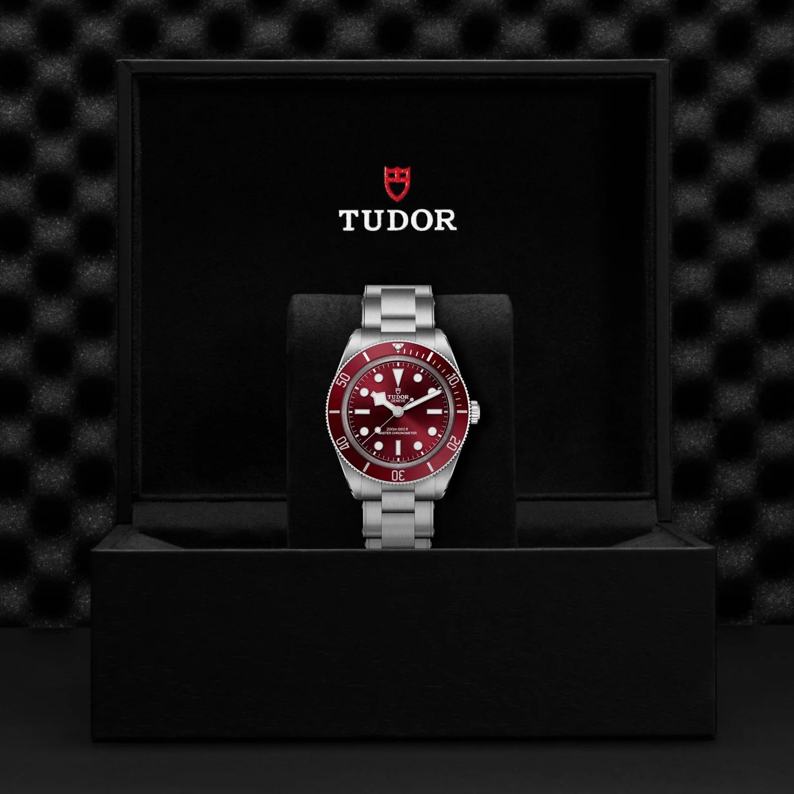 TUDOR Black Bay 58 39mm Master Chronometer Automatic Watch M7939A1A0RU-0002 - Image 5