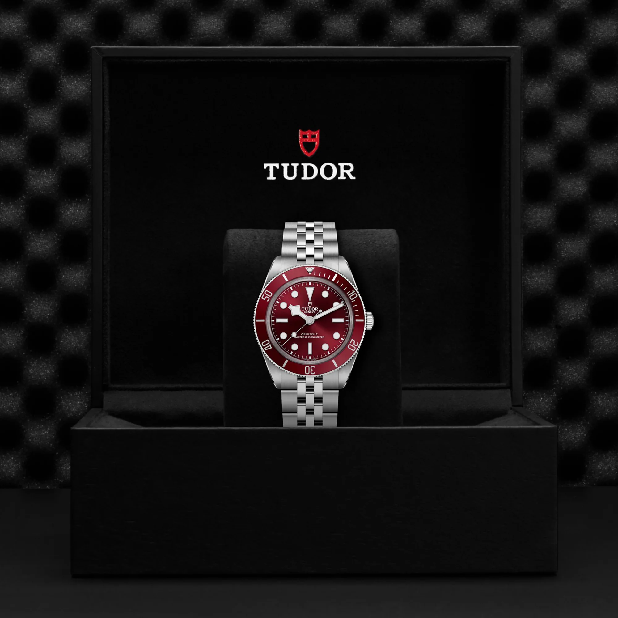 TUDOR Black Bay 58 39mm Master Chronometer Automatic Watch M7939A1A0RU-0001 - Image 4