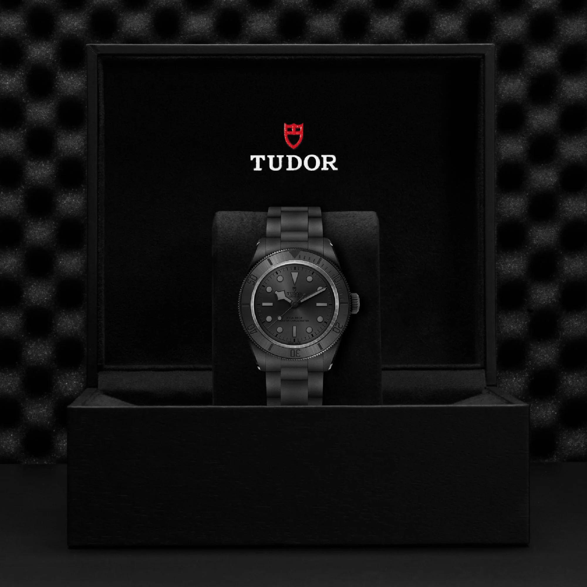 TUDOR Black Bay Ceramic 41mm Ceramic Master Chronometer Automatic Watch M7941A1ACNU-0001 - Image 5