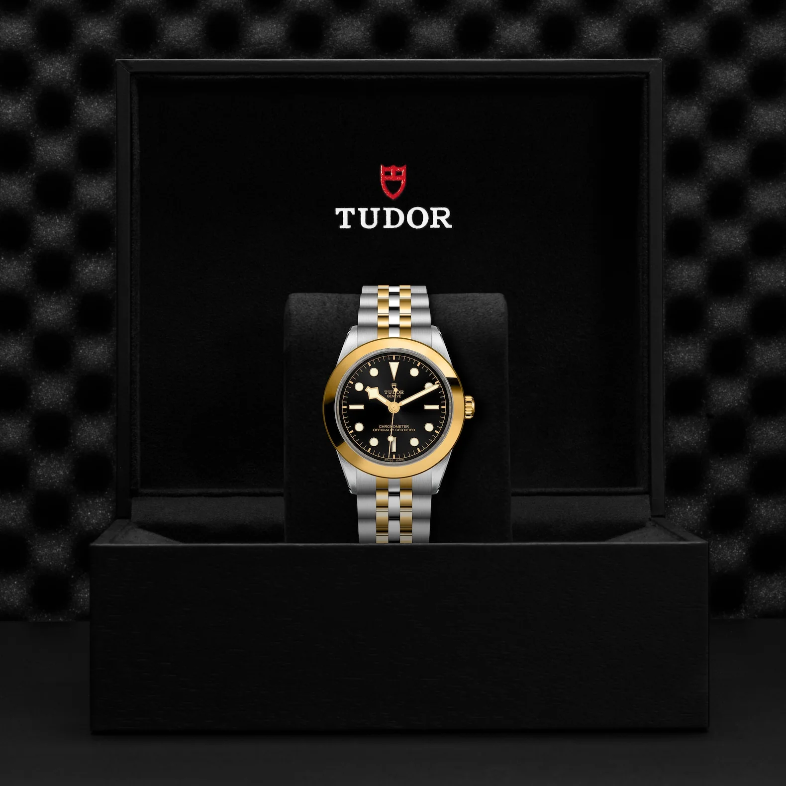 TUDOR Black Bay One S&G 39mm Master Chronometer Automatic Watch M79663-0001 - Image 5