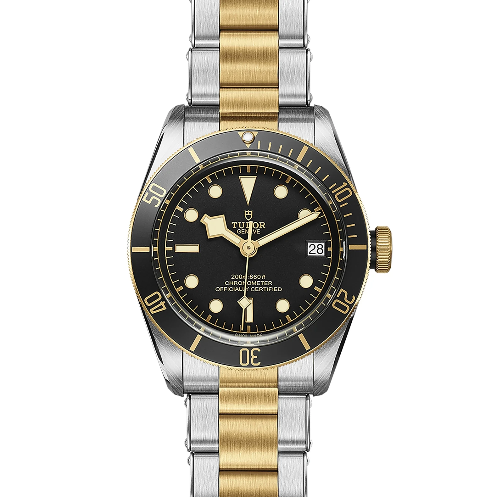 TUDOR Black Bay S&G 41mm Chronometer Yellow Gold and Steel Automatic Watch M79733N-0008 - Image 3