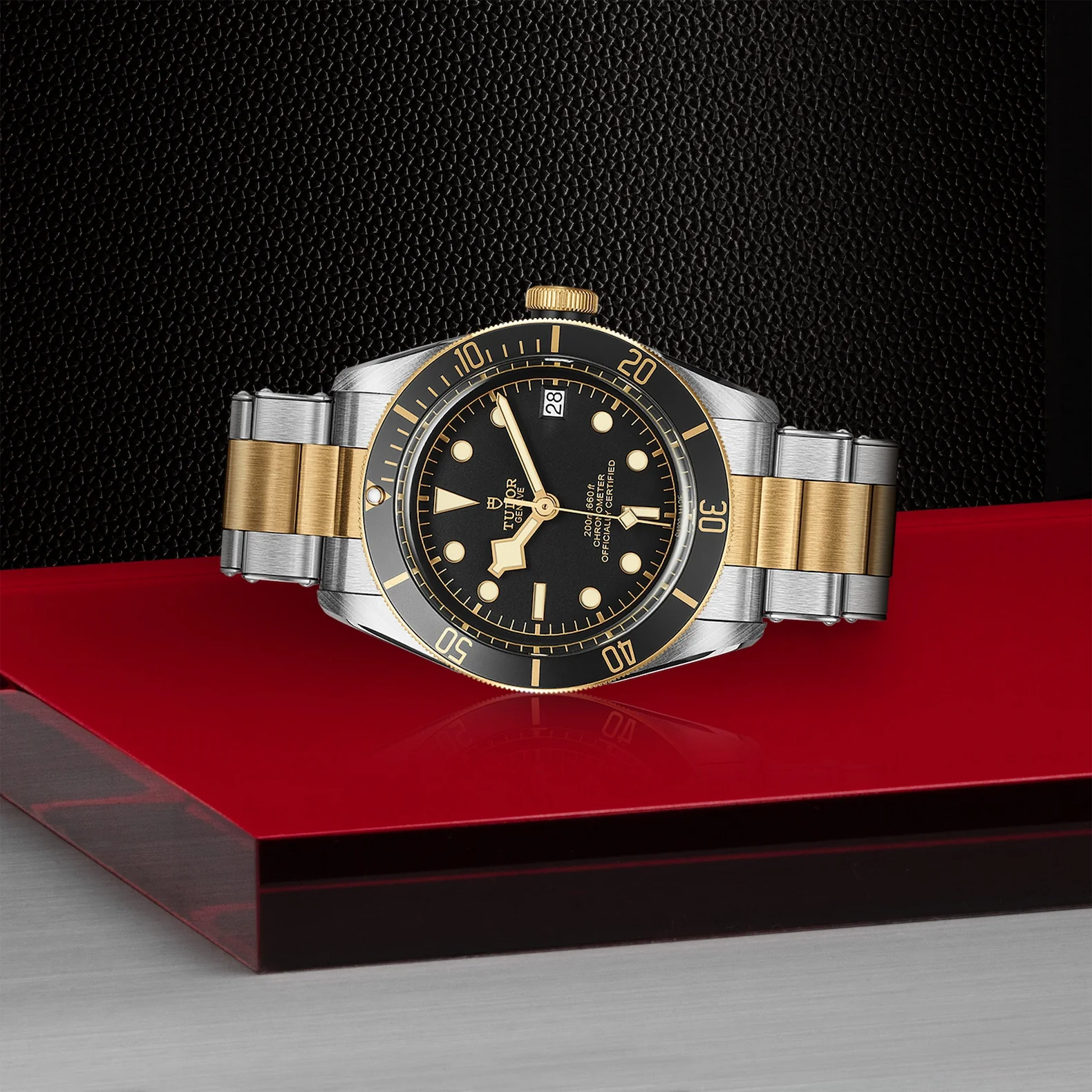 TUDOR Black Bay S&G 41mm Chronometer Yellow Gold and Steel Automatic Watch M79733N-0008 - Image 4